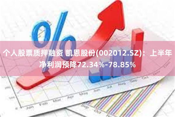 个人股票质押融资 凯恩股份(002012.SZ)：上半年净利润预降72.34%-78.85%