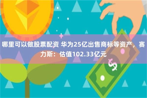 哪里可以做股票配资 华为25亿出售商标等资产，赛力斯：估值102.33亿元