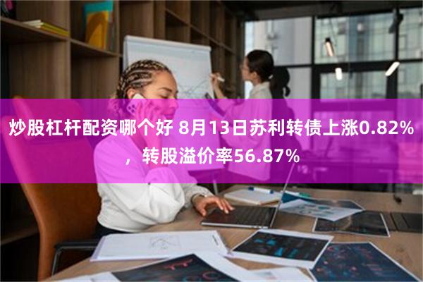 炒股杠杆配资哪个好 8月13日苏利转债上涨0.82%，转