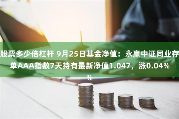 股票多少倍杠杆 9月25日基金净值：永赢中证同业存单AA