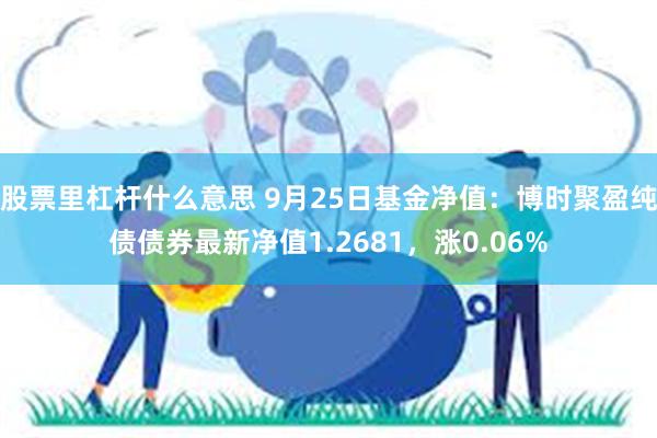 股票里杠杆什么意思 9月25日基金净值：博时聚盈纯债债券最新净值1.2681，涨0.06%