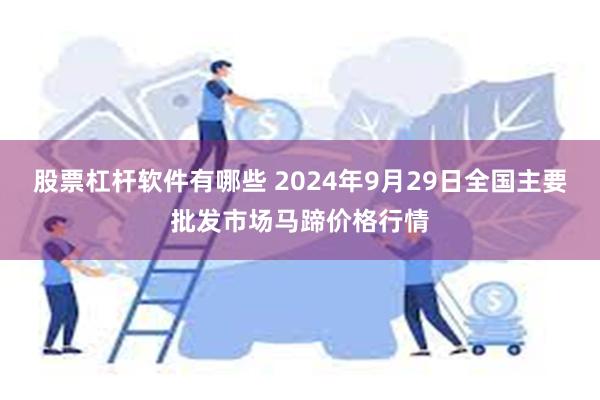 股票杠杆软件有哪些 2024年9月29日全国主要批发市场