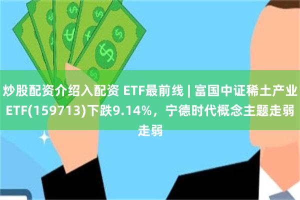 炒股配资介绍入配资 ETF最前线 | 富国中证稀土产业ETF(159713)下跌9.14%，宁德时代概念主题走弱