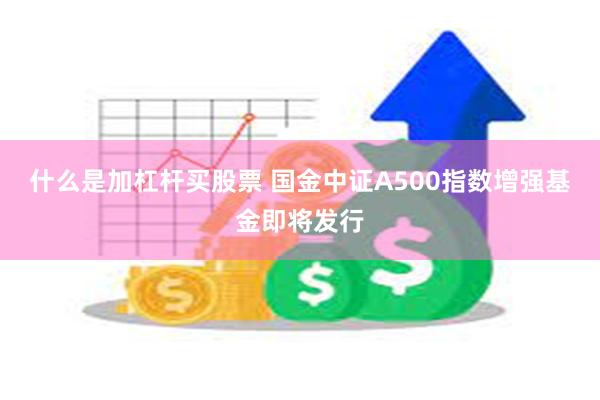 什么是加杠杆买股票 国金中证A500指数增强基金即将发行