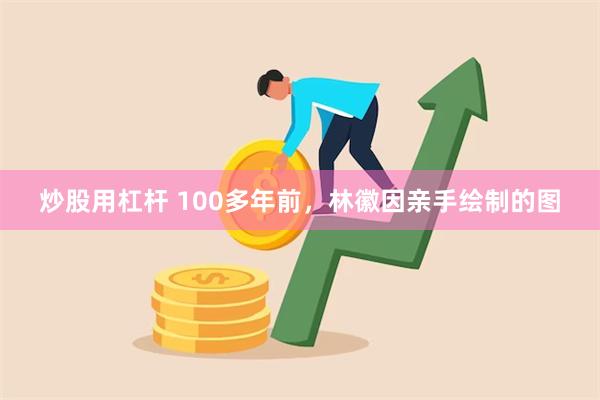 炒股用杠杆 100多年前，林徽因亲手绘制的图