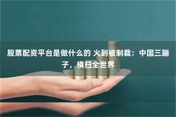 股票配资平台是做什么的 火到被制裁：中国三蹦子，横扫全世界