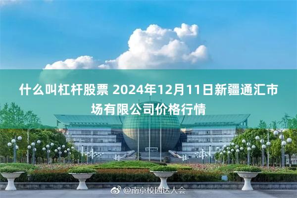 什么叫杠杆股票 2024年12月11日新疆通汇市场有限公司价格行情