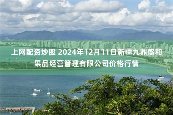 上网配资炒股 2024年12月11日新疆九鼎盛和果品经营管理有限公司价格行情