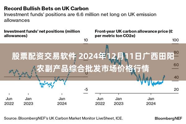 股票配资交易软件 2024年12月11日广西田阳农副产品综合批发市场价格行情