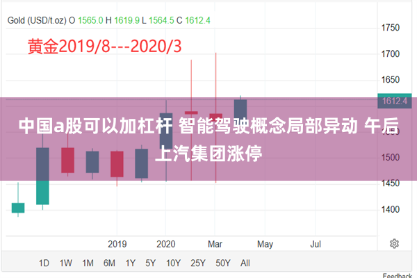 中国a股可以加杠杆 智能驾驶概念局部异动 午后上汽集团涨停