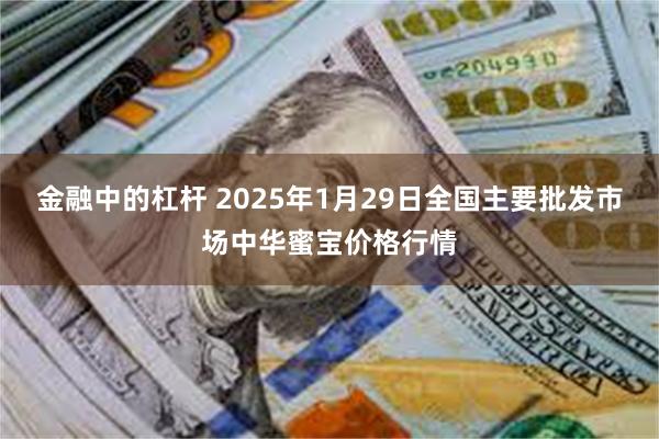 金融中的杠杆 2025年1月29日全国主要批发市场中华蜜宝价格行情