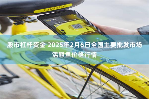 股市杠杆资金 2025年2月6日全国主要批发市场活鳜鱼价格行情