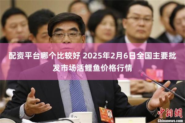 配资平台哪个比较好 2025年2月6日全国主要批发市场活鲤鱼价格行情