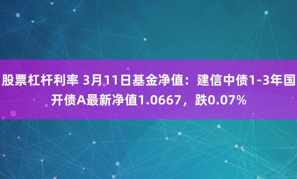 股票杠杆利率 3月11日基金净值：建信中债1-3年国开债A最新净值1.0667，跌0.07%