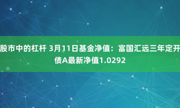 股市中的杠杆 3月11日基金净值：富国汇远三年定开债A最新净值1.0292