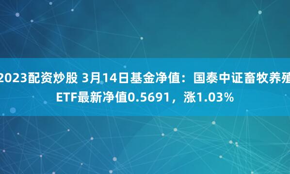 2023配资炒股 3月14日基金净值：国泰中证畜牧养殖ETF最新净值0.5691，涨1.03%